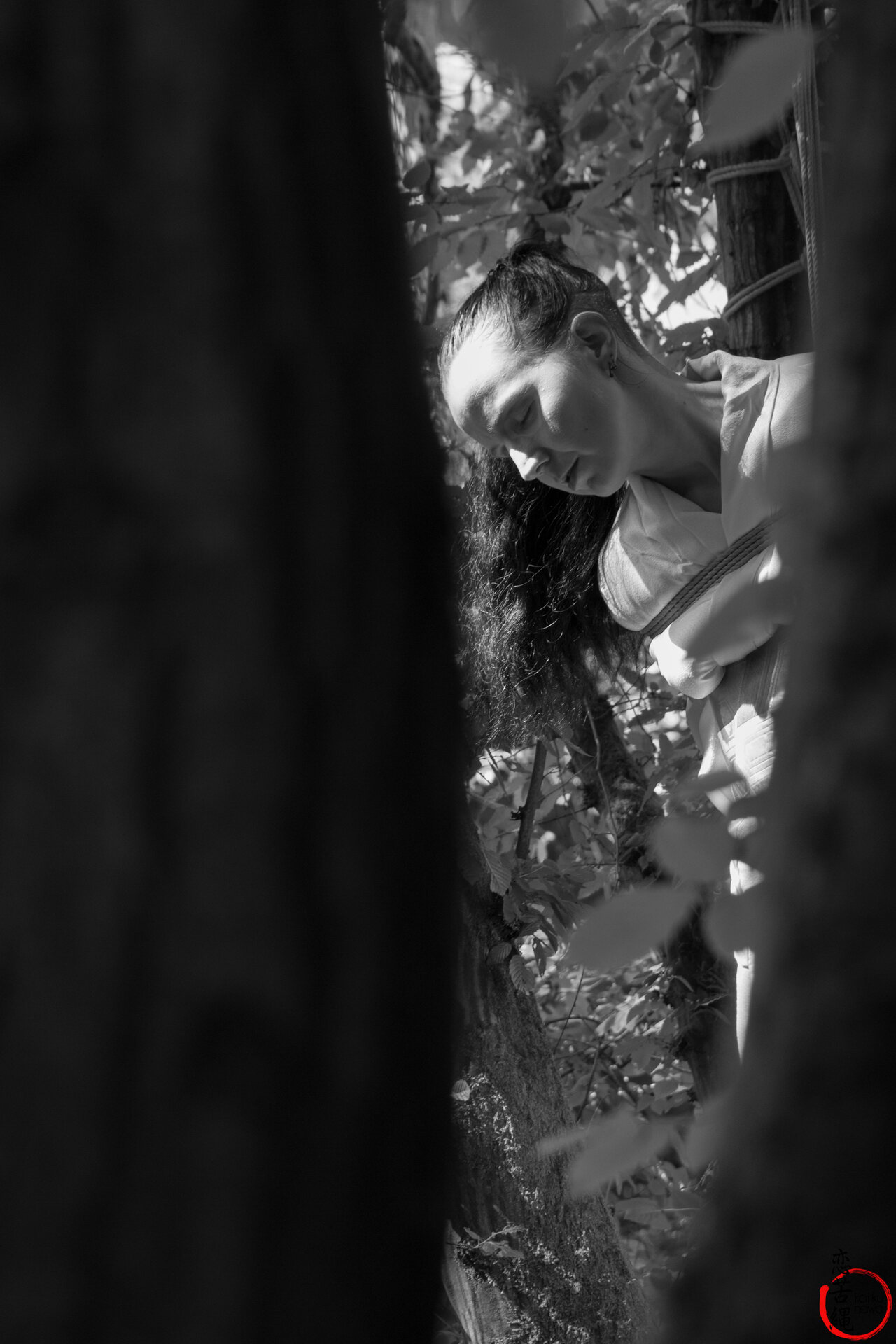 Impression 7 aus Wald-Shooting