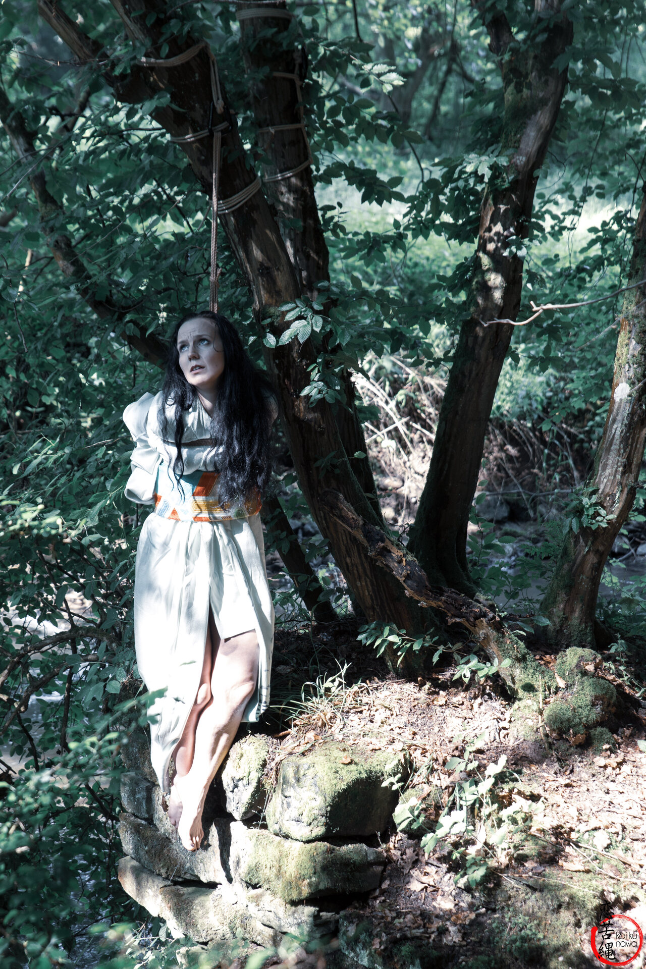 Impression 12 aus Wald-Shooting