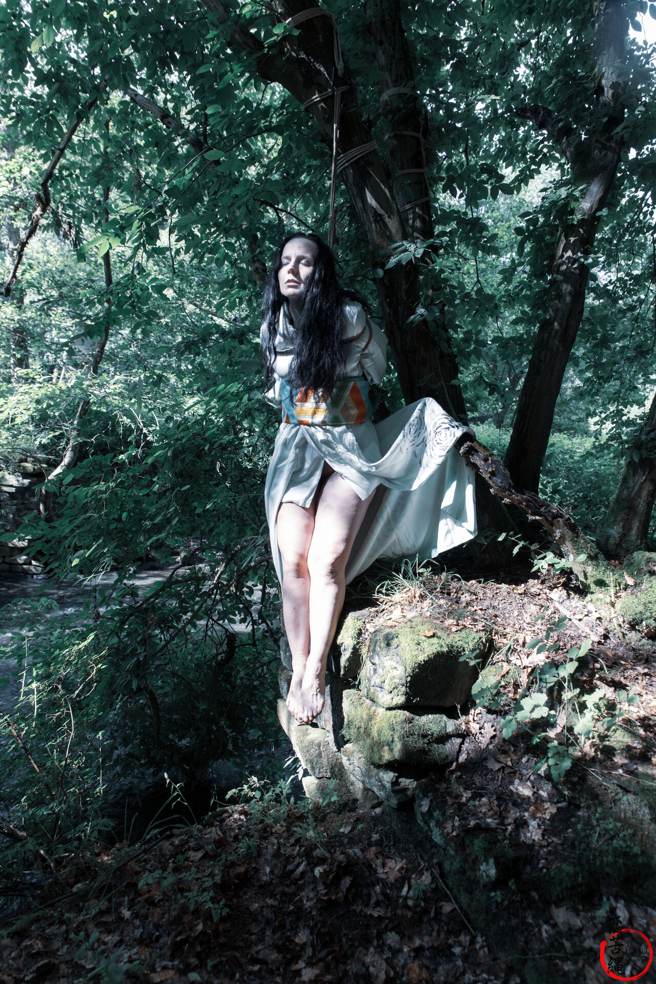 Impression 13 aus Wald-Shooting