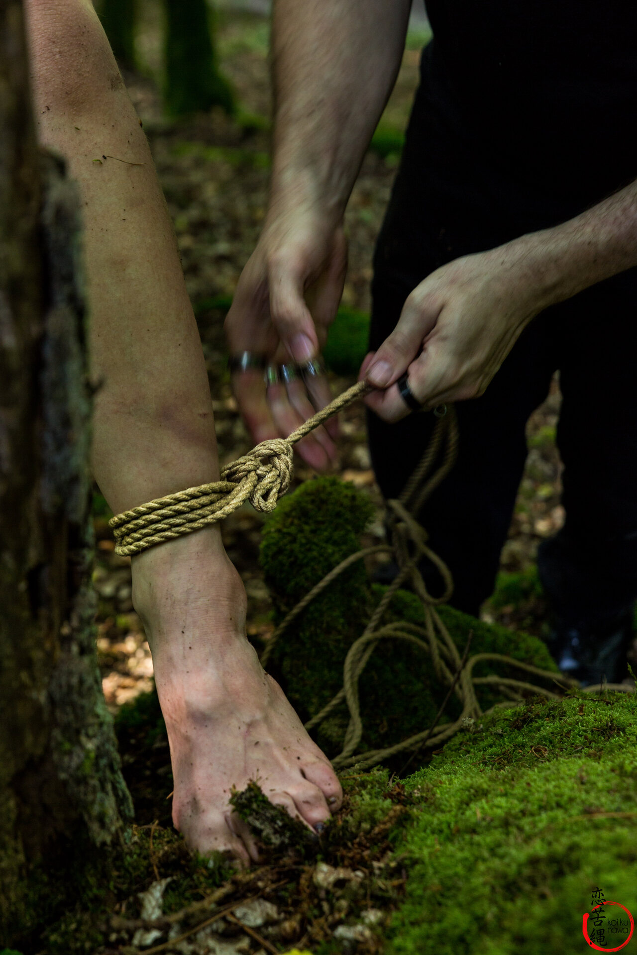 Impression 15 aus Wald-Shooting