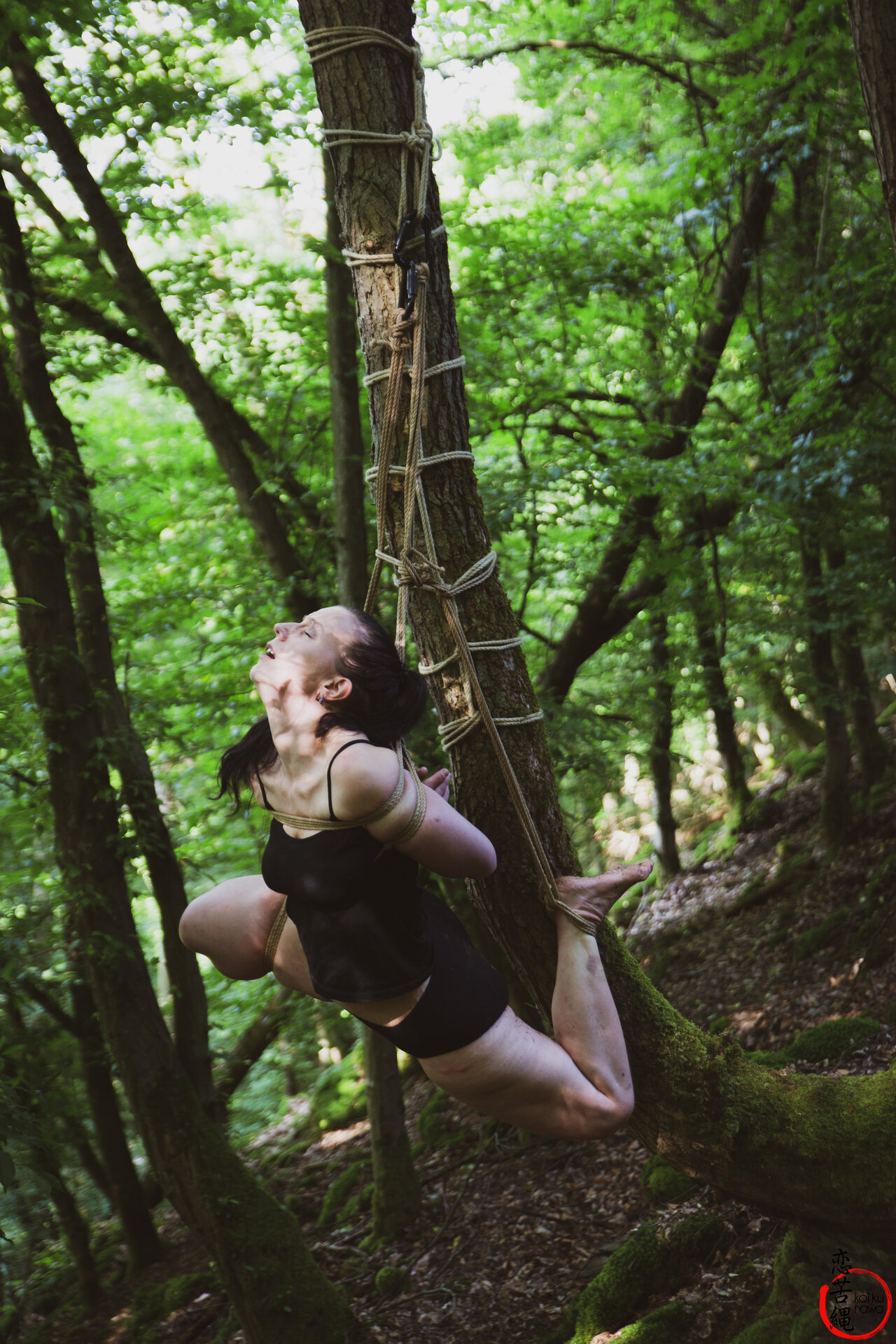 Impression 17 aus Wald-Shooting