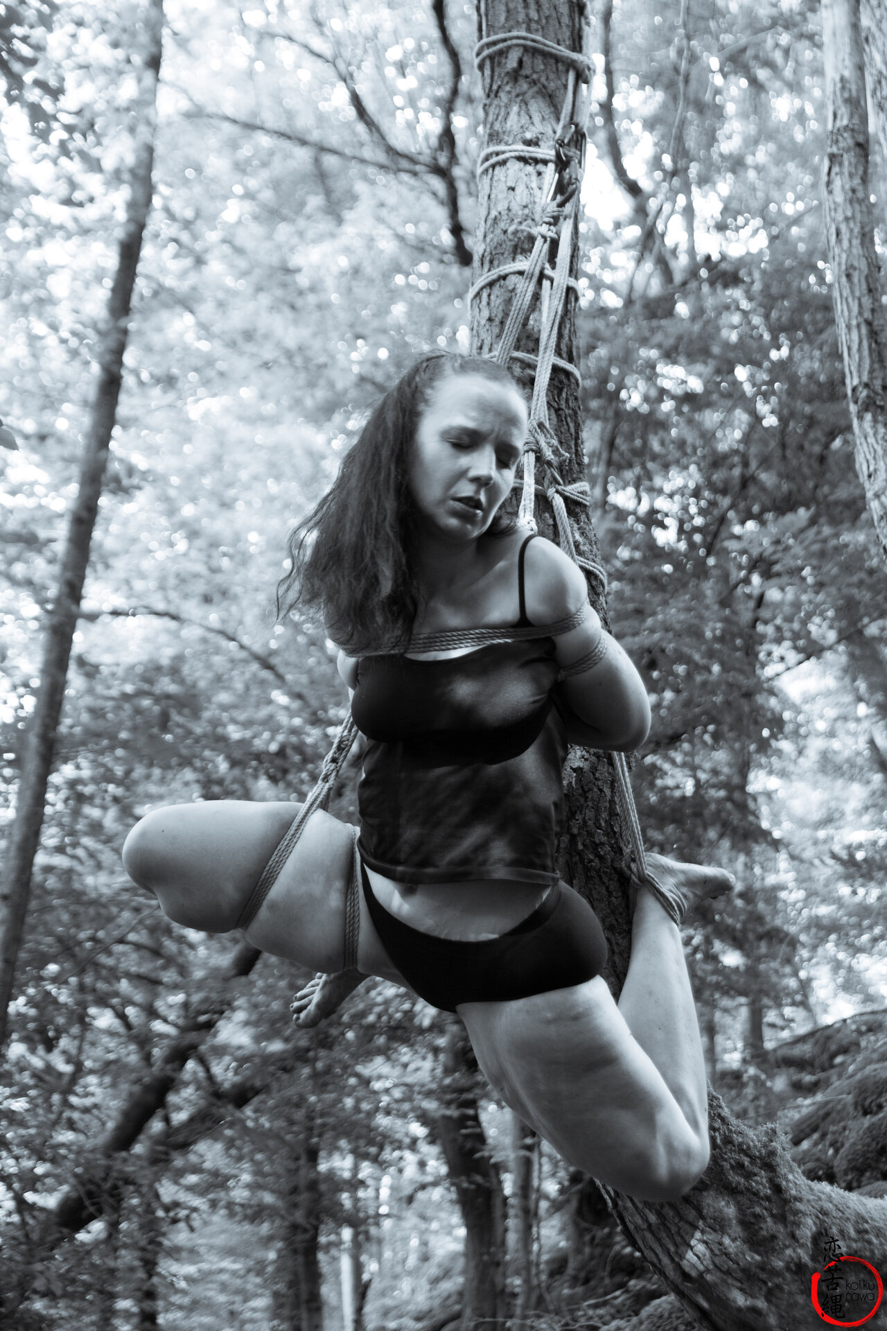 Impression 18 aus Wald-Shooting