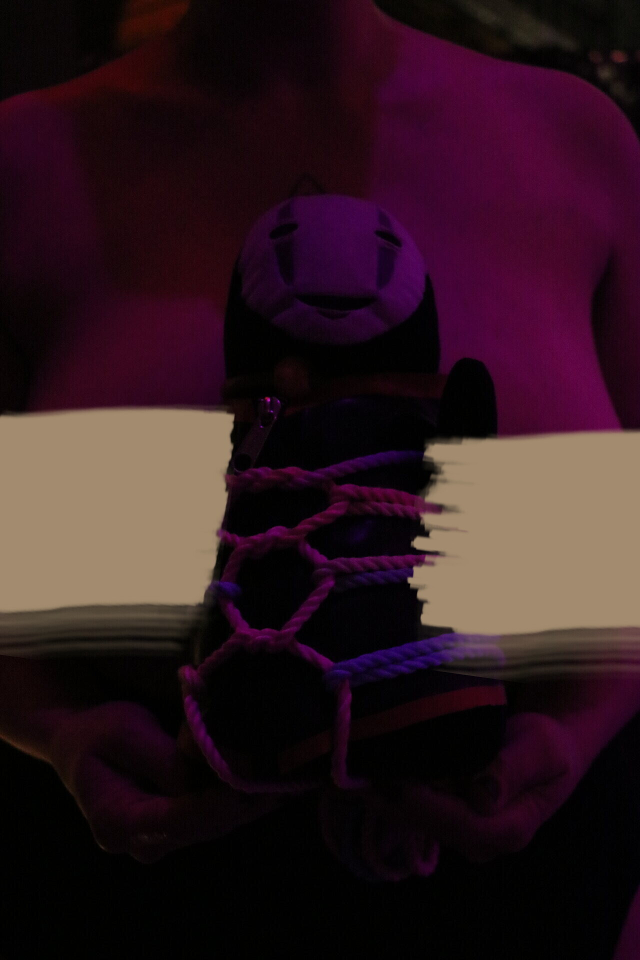 Impression 12 aus Subrosadictum ´24