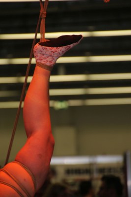 bondage-koikunawa-bofewo-fr-2016-041