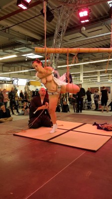 bondage-koikunawa-bofewo-sa-2016-014